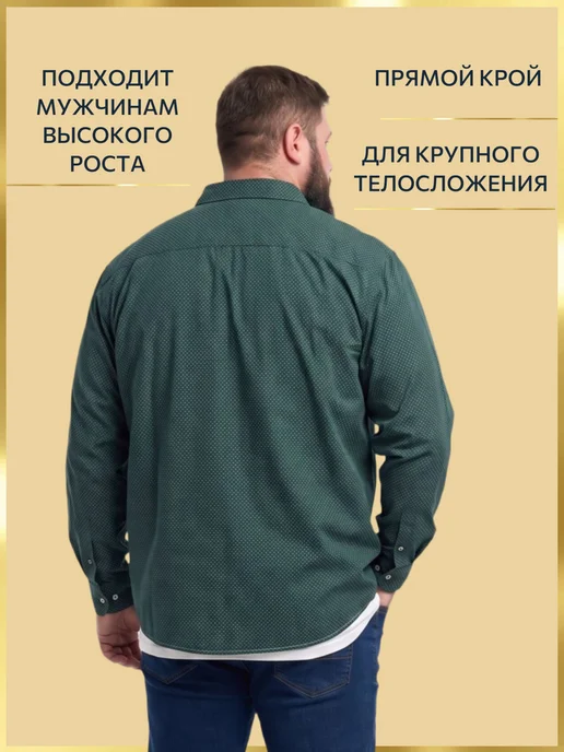 GALION Рубашка хлопковая мужская большого размера Галион, зеленый, фото 3