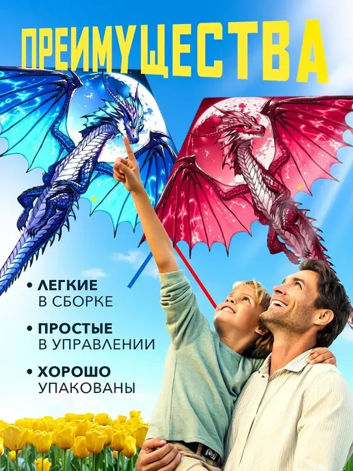 Большой детский воздушный змей Дракон 2 шт, 2 шт, фото 4