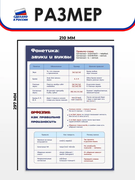 Школьный ХАЙП Набор плакатов А4 для школы Русский язык (3-4 классы), 4 шт, фото 3