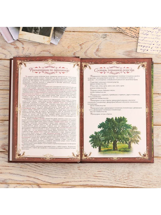 Семейные традиции Подарочная родословная книга, в шкатулке, сувенирная, вариант, фото 4
