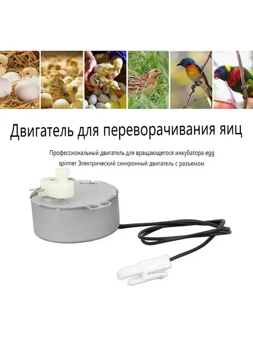 Мотор для переворачивания яиц 4 Вт, 220–240 В, 4 Вт, фото 2