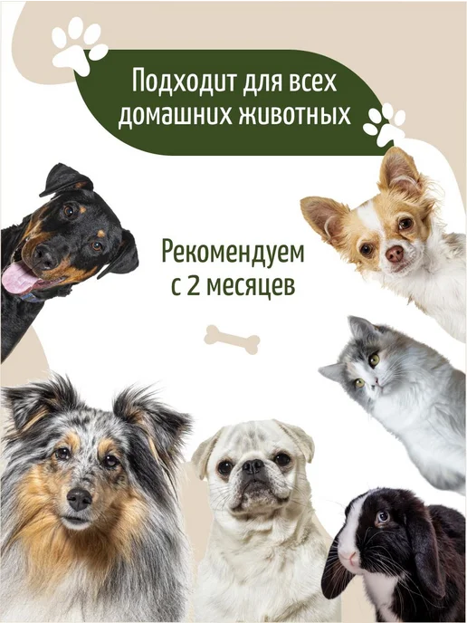 ECOZAVR Эко шампунь для собак 500 мл, гипоаллергенный, 99.5%, 500 мл, фото 8