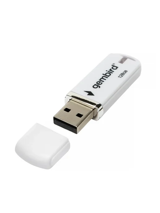 GEMBIRD Флешка USB 2.0 128 Гб, 128 ГБ, фото 6