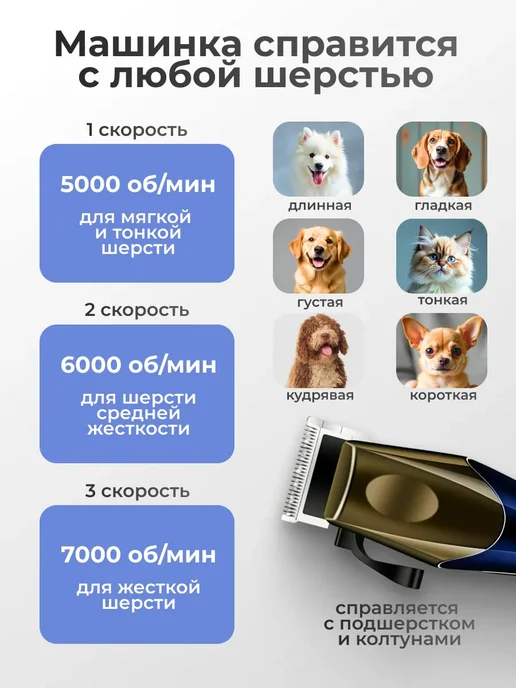 Триммер для собак мелких пород для домашнего груминга, голубой, фото 2