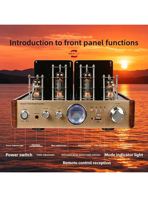 BRZHIFI GALLBLADDER аудиосистема Standard Edition 230 В, 230 В, фото 2