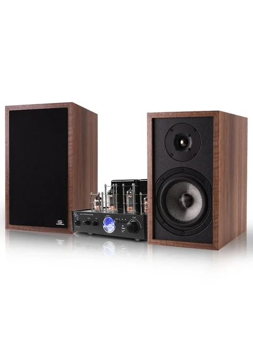 BRZHIFI GALLBLADDER аудиосистема Standard Edition 230 В, 230 В, фото 5