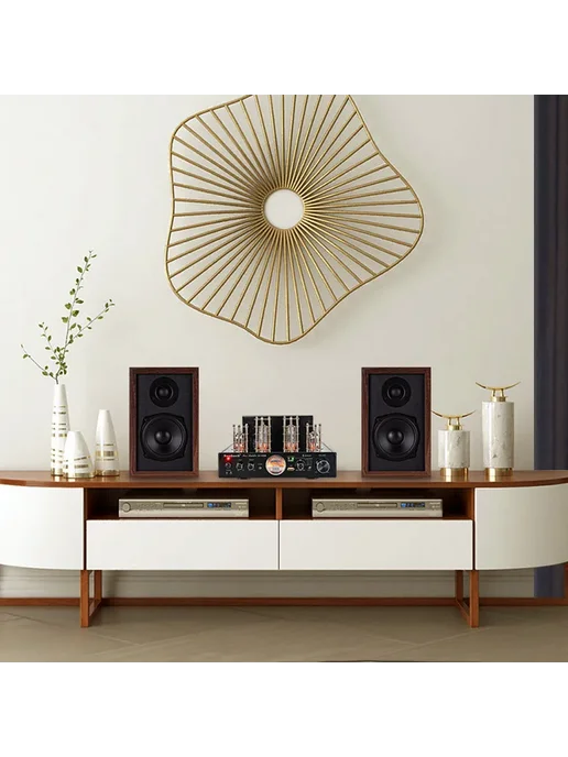 BRZHIFI GALLBLADDER аудиосистема Standard Edition 230 В, 110 В, фото 4