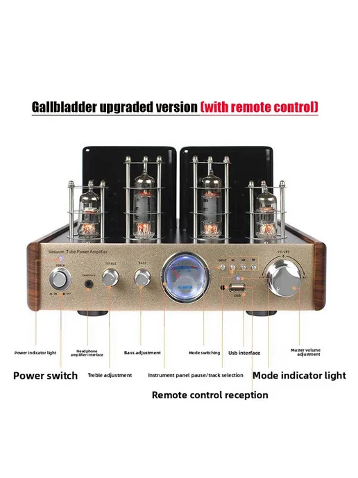 BRZHIFI GALLBLADDER аудиосистема Upgraded version 110 В, вариант