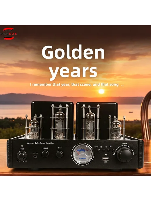 BRZHIFI GALLBLADDER аудиосистема Upgraded version 110 В, вариант, фото 3