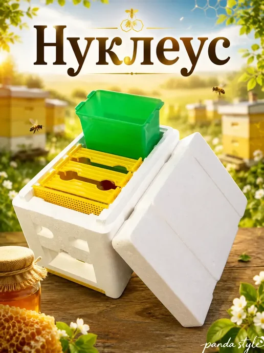 Нуклеус, вариант