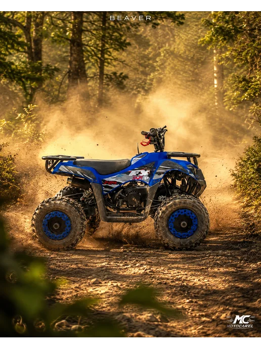 МОТОВЫГОДА Квадроцикл "BEAVER" 49.9см³ Бензиновый, вариант, фото 2