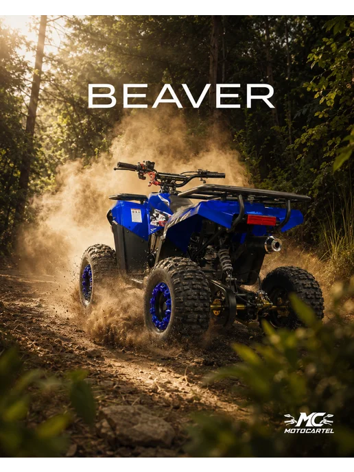 МОТОВЫГОДА Квадроцикл "BEAVER" 49.9см³ Бензиновый, вариант, фото 3