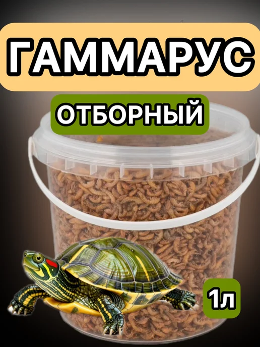 PETGROUP Гаммарус отборный просеянный 1000мл, 1000 мл, фото 2
