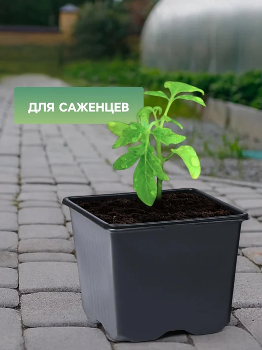 Greengo Горшок для рассады черный 180 мл 7x7x6.5 см, 100 шт, 7x7x6.5 см, 180 мл, фото 3