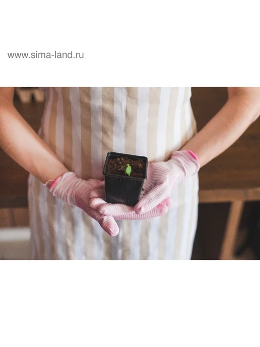 Greengo Горшок для рассады черный 180 мл 7x7x6.5 см, 100 шт, 7x7x6.5 см, 180 мл, фото 7