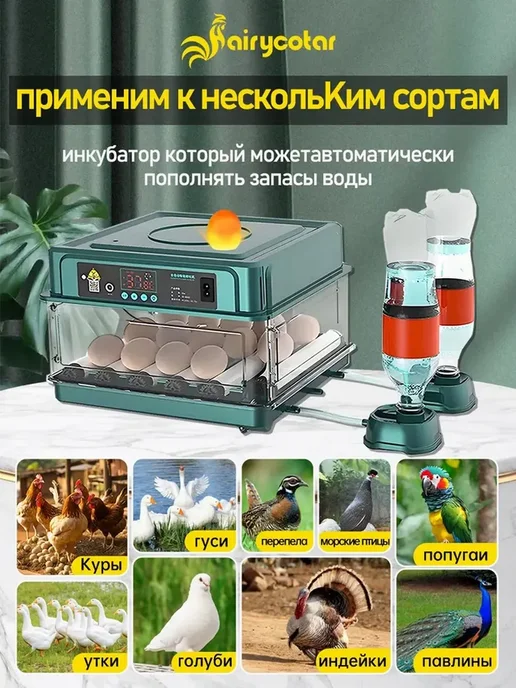 Мини-инкубатор яиц автоматический, вместимость 15 яиц, вариант, фото 2