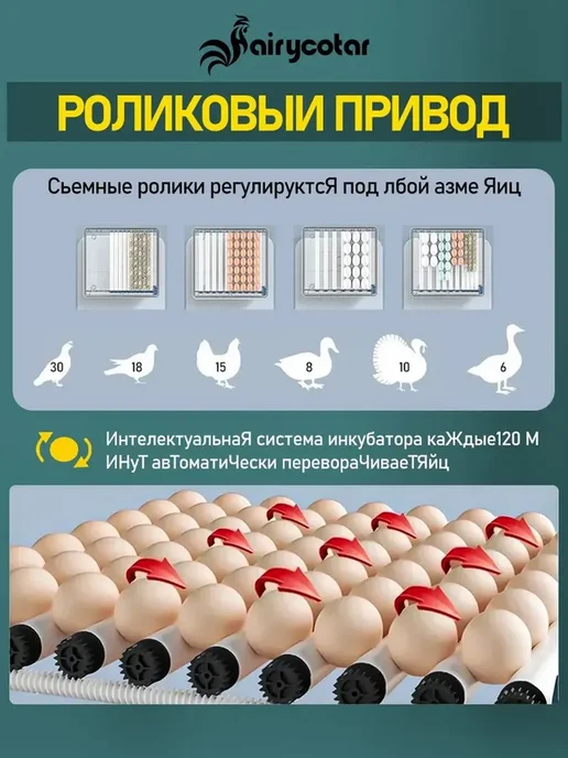 Мини-инкубатор яиц автоматический, вместимость 15 яиц, вариант, фото 3
