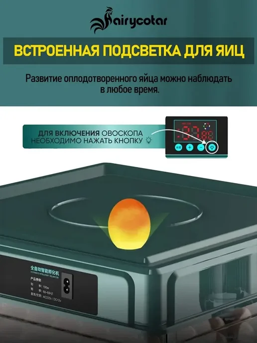 Мини-инкубатор яиц автоматический, вместимость 15 яиц, вариант, фото 5