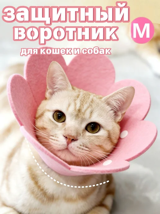 Защитный ошейник для кошек и собак, елизаветинский ошейник, вариант