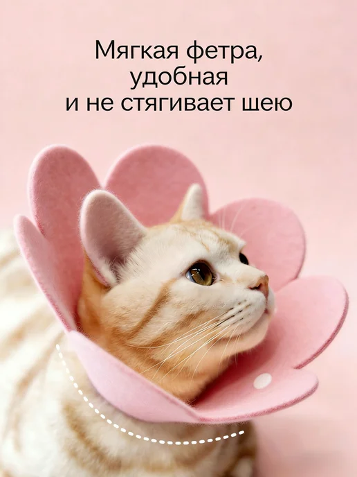 Защитный ошейник для кошек и собак, елизаветинский ошейник, вариант, фото 6
