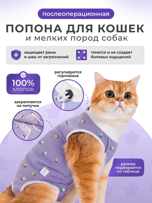 Попона для кошек послеоперационная на липучке, вариант