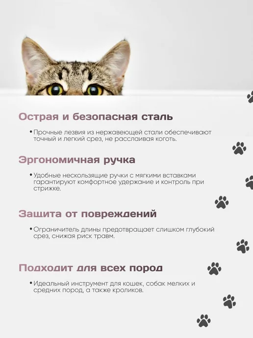 Когтерез для кошек и собак, ножницы для когтей животных, для, вариант, фото 3