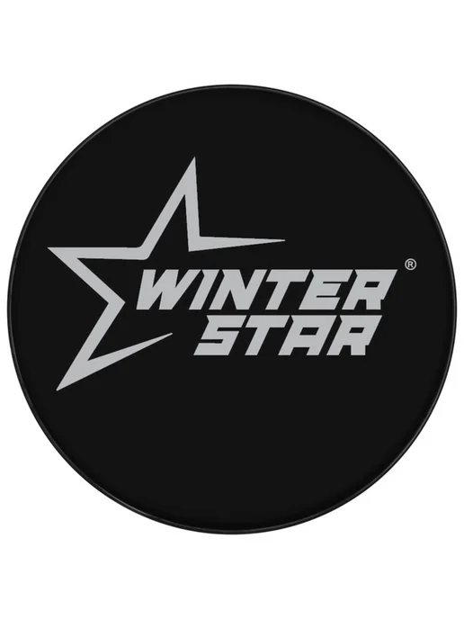 WINTER STAR Хоккейная шайба детская, диам. 6 см, черный, фото 5