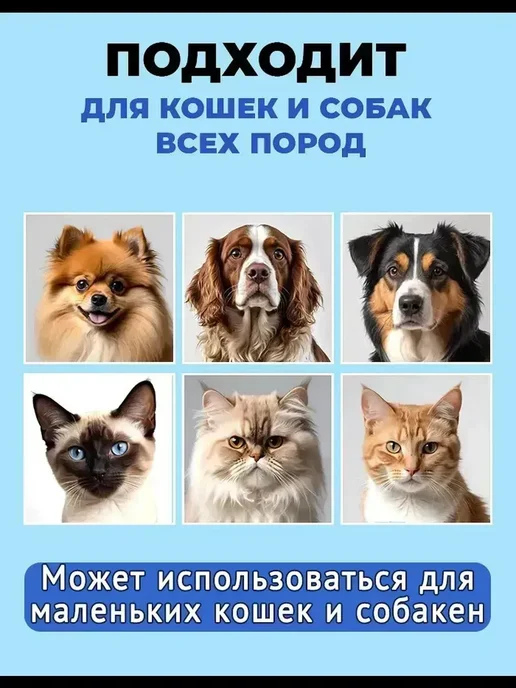 Спрей для устранения кожных проблем у кошек и собак 100 мл, 100 мл, фото 5
