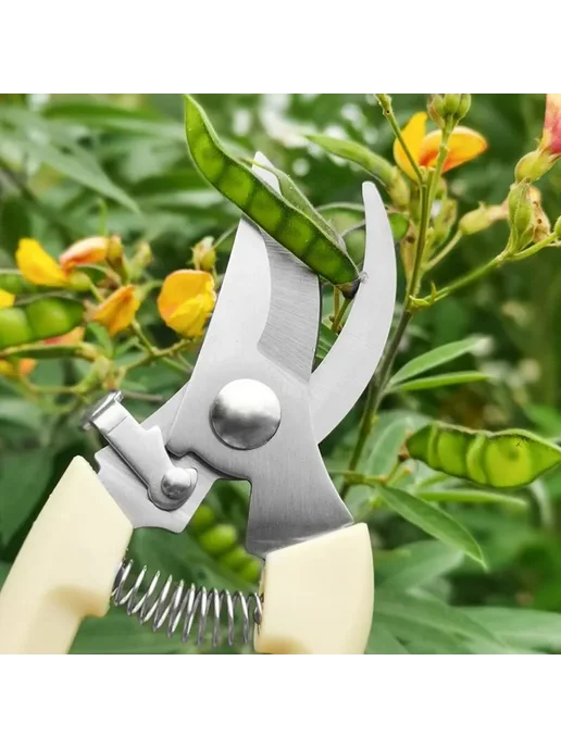 Нет бренда Садовые ножницы из нержавеющей стали Curved scissors, бежевый, фото 5