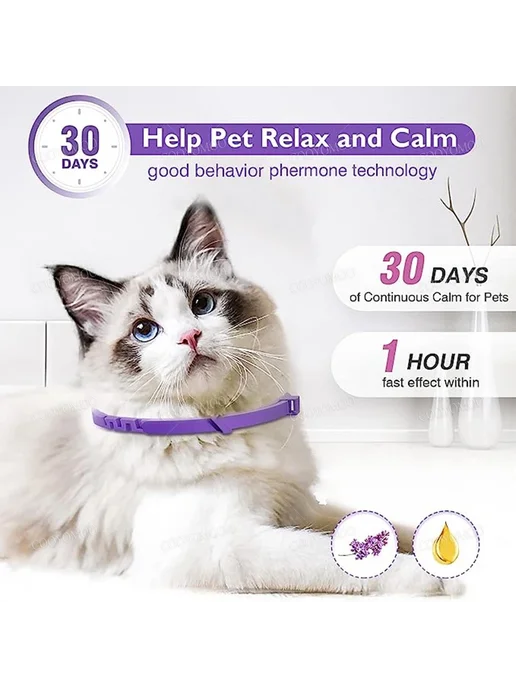 PetTumbly Наборы успокаивающих ошейников для собак и кошек 3, фиолетовый, фото 7