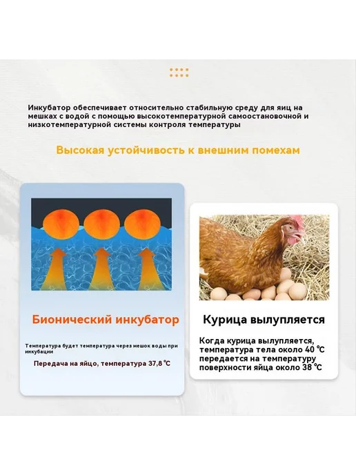Автоматический инкубатор для яиц с термостатом инкубатор, вариант, фото 4