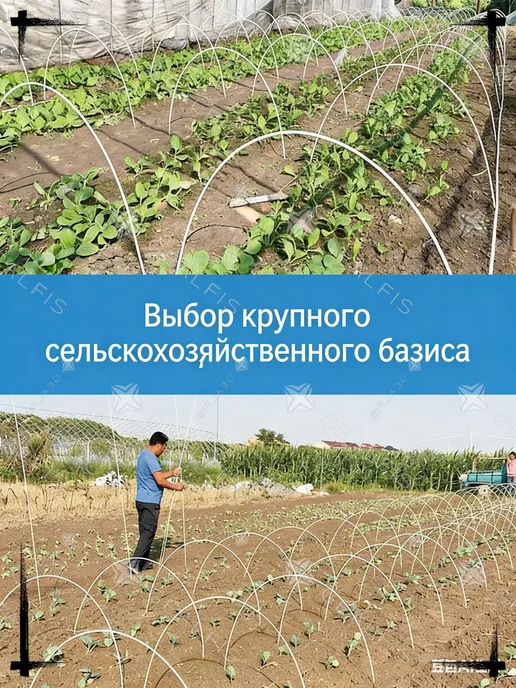 Парник, теплица арочная Дуги для парника Каркас для, вариант, фото 7
