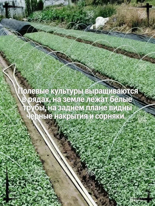 Парник, теплица арочная Дуги для парника Каркас для, вариант, фото 8