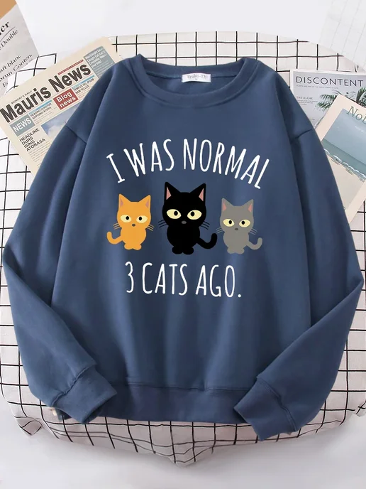 HAMPSON LANQE Женская флисовая толстовка I Was Normal 3 Cats Ago S-XXL, голубой