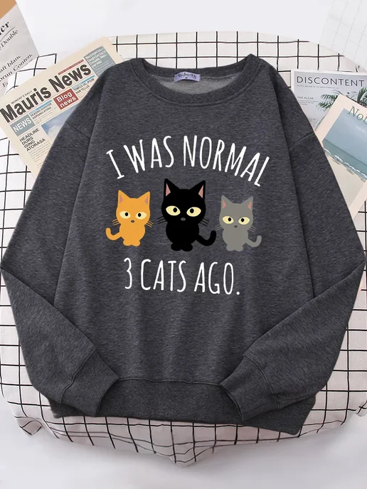 HAMPSON LANQE Женская флисовая толстовка I Was Normal 3 Cats Ago S-XXL, голубой, фото 5
