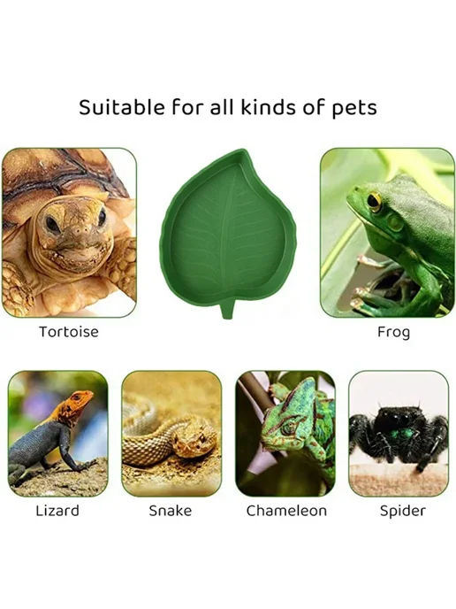 Нет бренда Пластиковая кормушка для рептилий Green PET форма листа L, зеленый, в упаковке 36 г, фото 6
