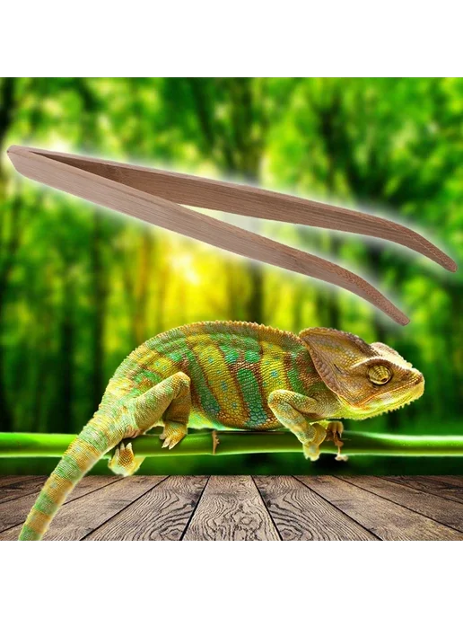 Нет бренда Бамбуковые пинцеты для кормления рептилий 28 cm, бежевый, фото 3