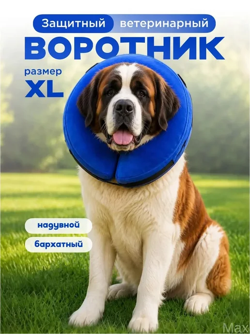 Надувной воротник для кошек и собак, XL, вариант