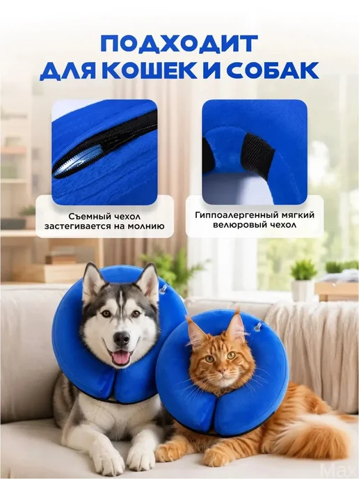 Надувной воротник для кошек и собак, XL, вариант, фото 3