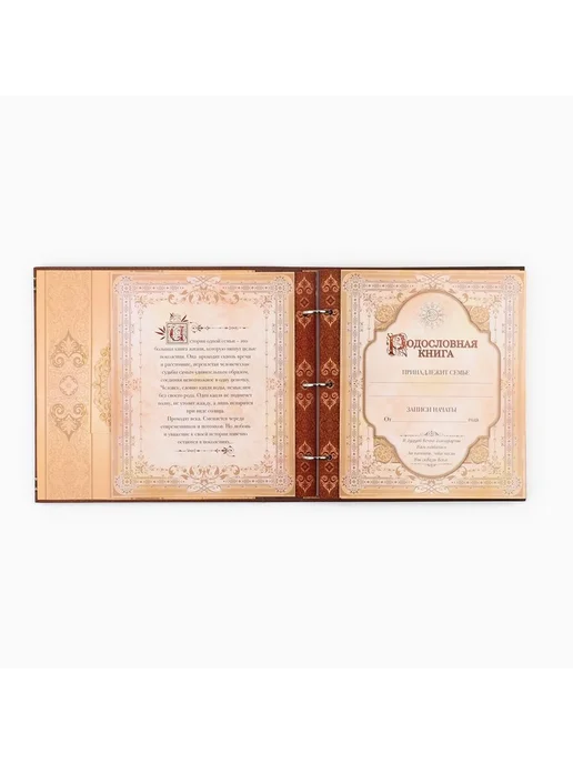 Родословная книга с рамкой под фото «Семейная», 21.5×23.7 см, 21.5x23.7 см, фото 6