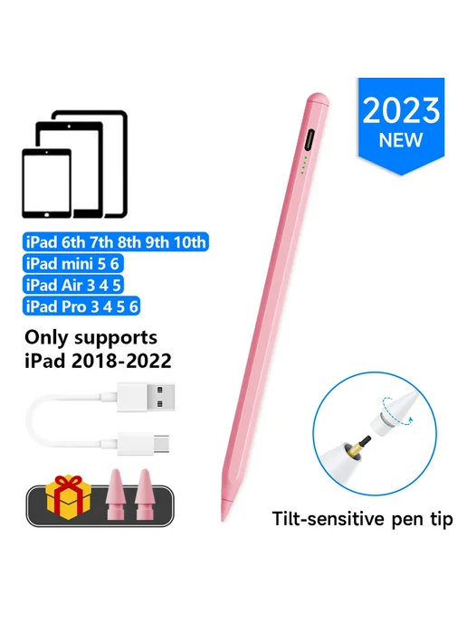 CASEPOKE Стилус для iPad с подавлением ладони Type c NEW PK, вариант