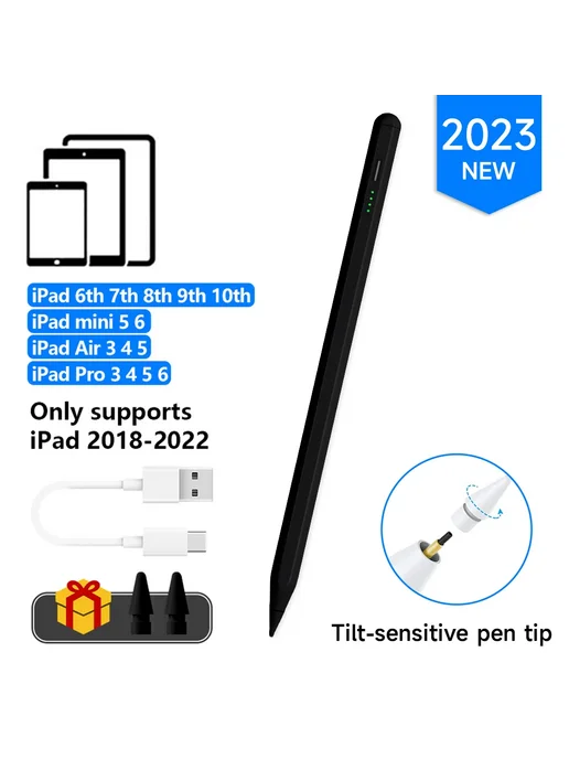 CASEPOKE Стилус для iPad с подавлением ладони Type c NEW BK, вариант