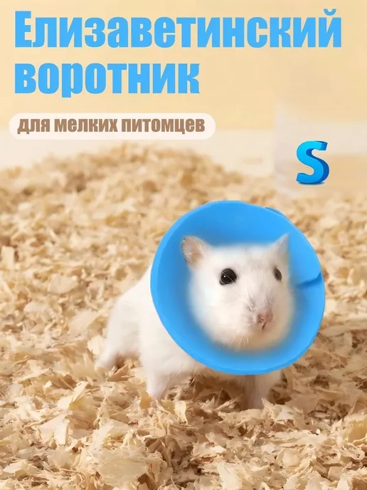 Воротник елизаветинский для животных, вариант
