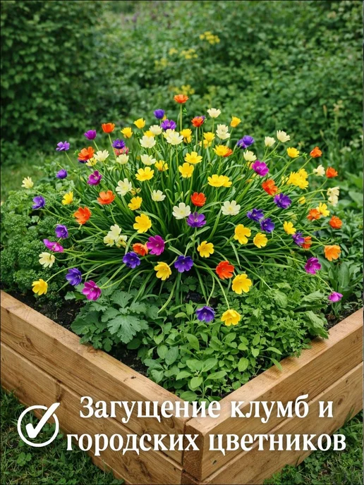 Искусственные лютики фиолетовые 36 см набор два букета цветы, фиолетовый, фото 5
