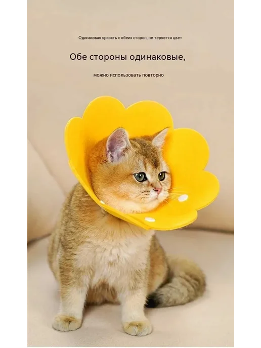Защитный конус для кошек и собак, серый, желтый, фото 4