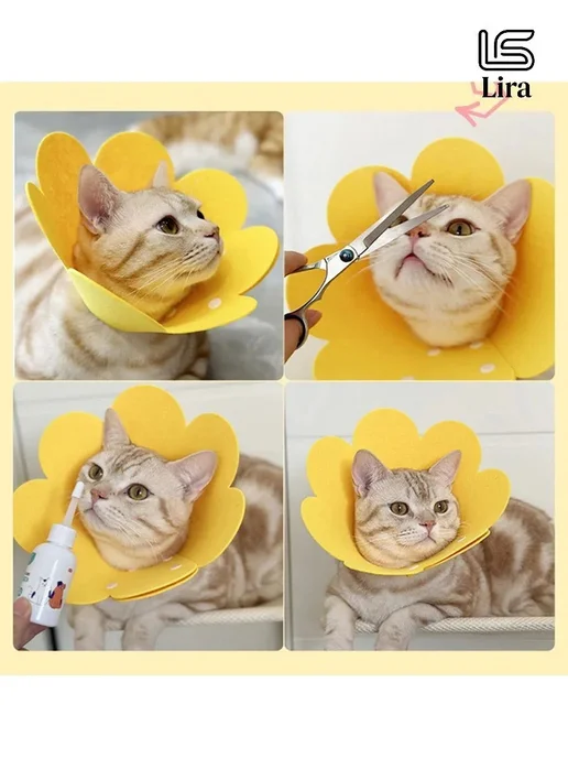 Защитный воротник для кошек и собак, вариант