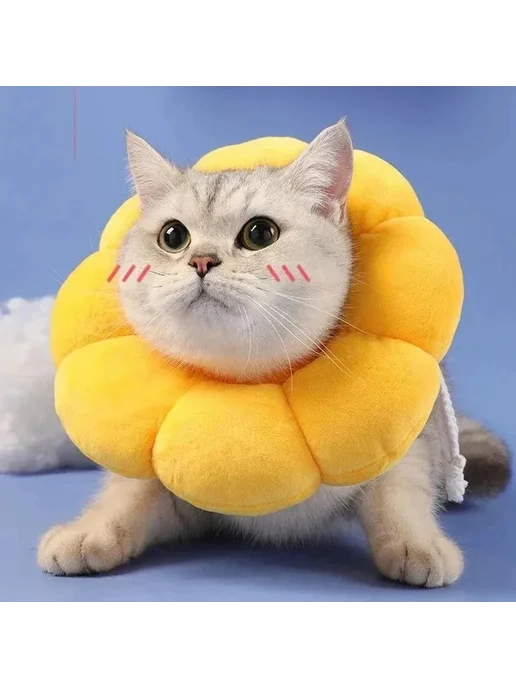 Воротник конус для кошек, вариант