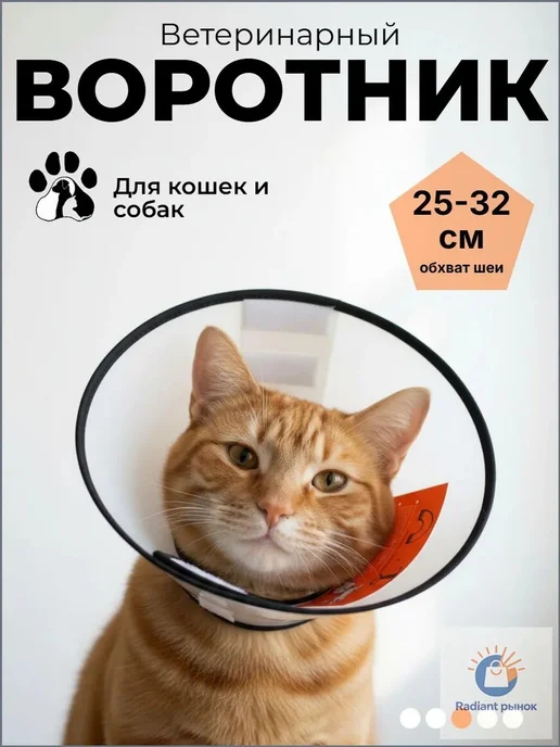 Воротник ветеринарный ЛЮБИМЫЙ БРО на липучке, 25-32 см, 25-32