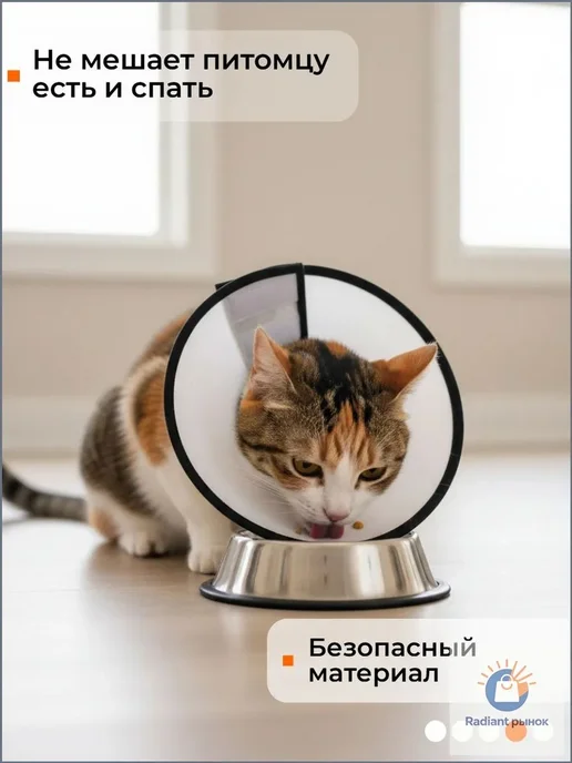 Воротник ветеринарный ЛЮБИМЫЙ БРО на липучке, 25-32 см, 25-32, фото 4