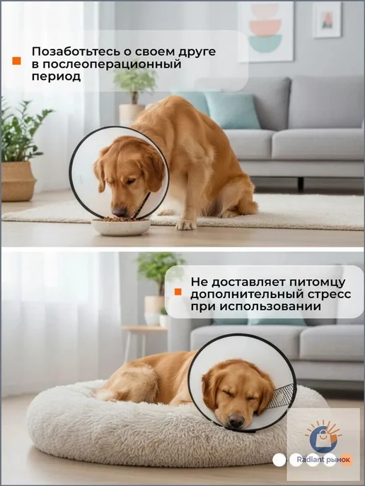 Воротник ветеринарный ЛЮБИМЫЙ БРО на липучке, 25-32 см, 25-32, фото 5